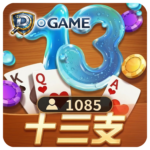 棋牌13支